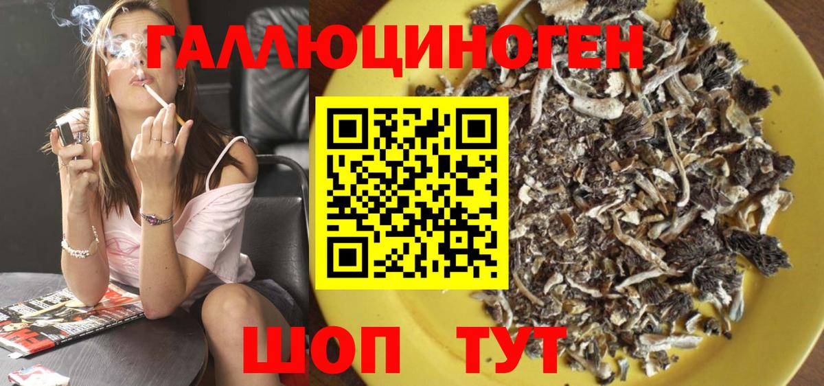 Псилоцибиновые грибы мухоморы Барнаул