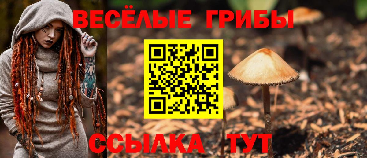 Галлюциногенные грибы мицелий  Вход с VPN  Барнаул 